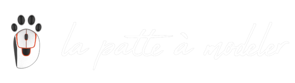 LA PATTE A MODELER